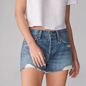 Aritzia Denim Forum Ex Boyfriend Shorts
